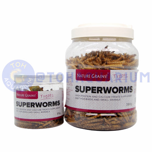 Nature Grains Super Worm (Options Available)