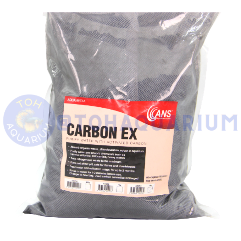 Curated visual reference: Visual Reference: Ans Carbon Ex Options Available