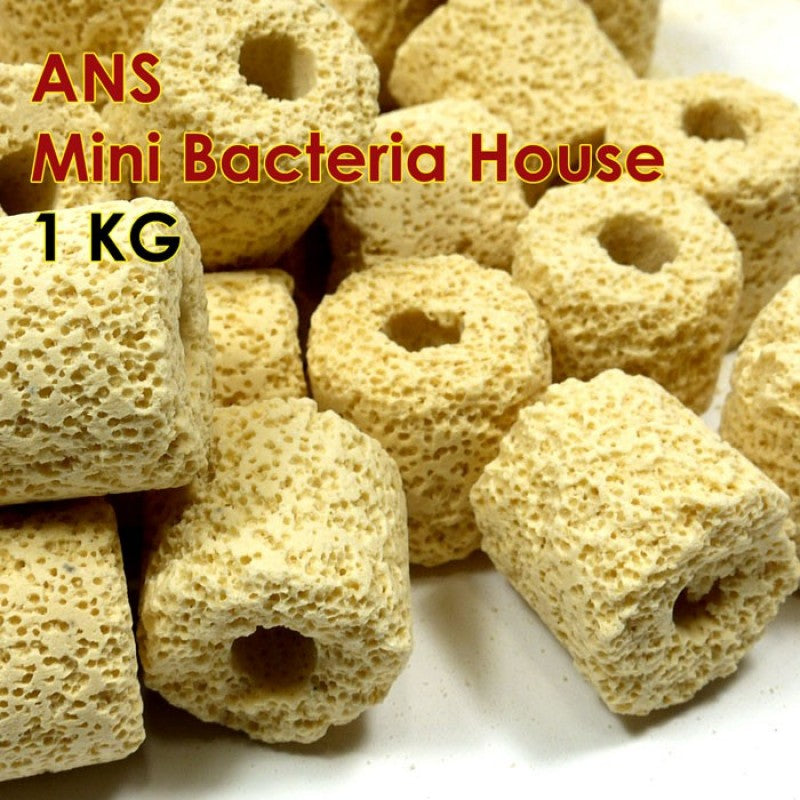 ANS Mini Bacteria House 2.5cm 1kg