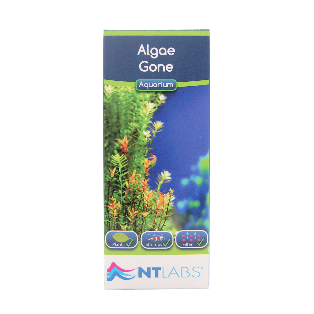 NT Labs Algae Gone 100ml