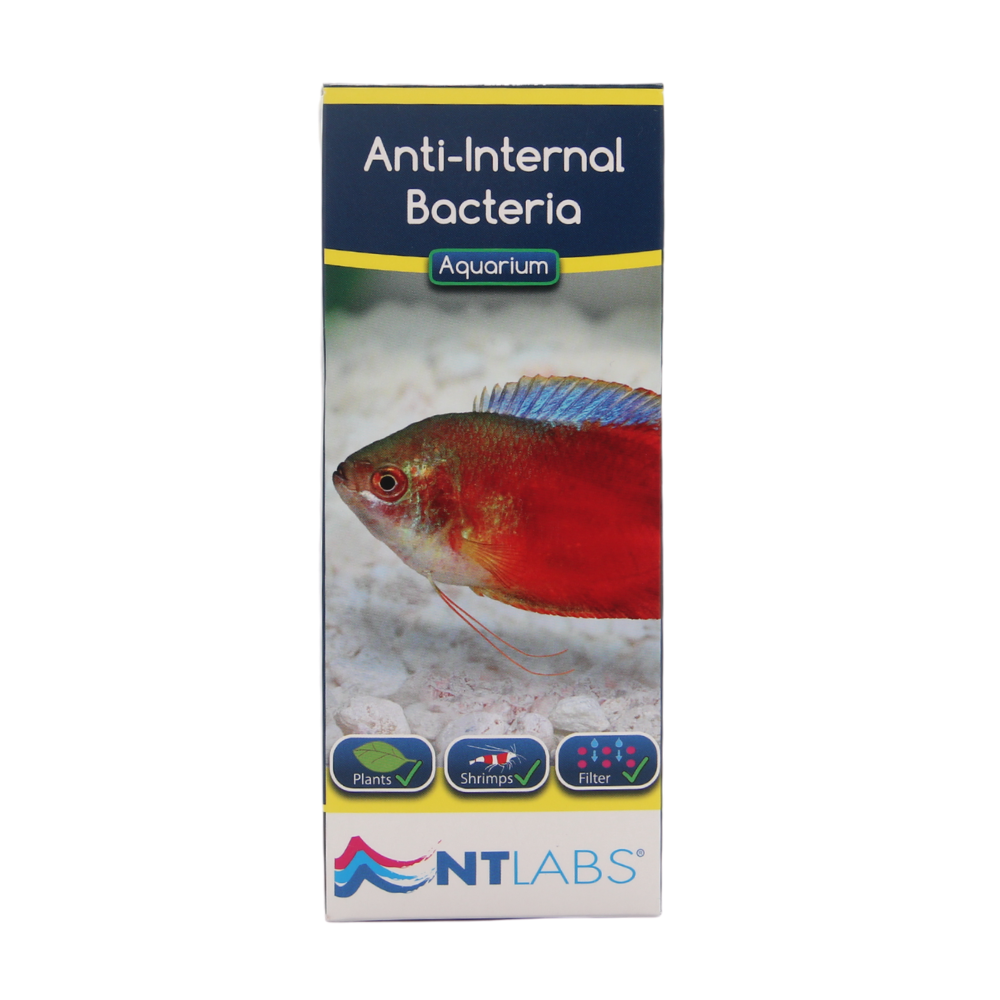 NT Labs AntiInternal Bacteria 100ml tohaquarium