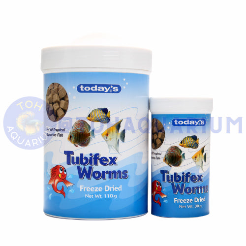 TODAY'S Tubifex Worms (Options Available)