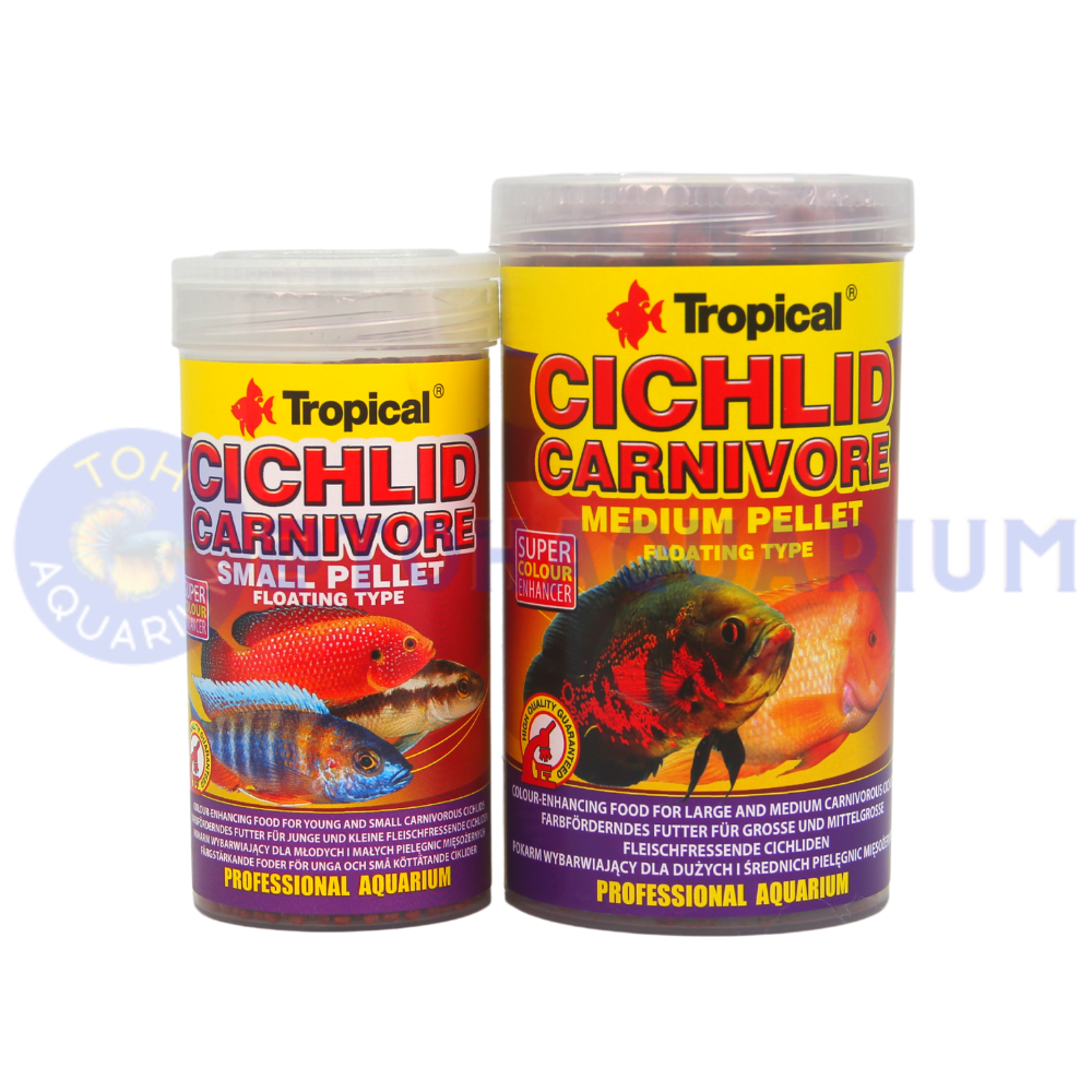 Tropical Cichlid Carnivore (Options Available)