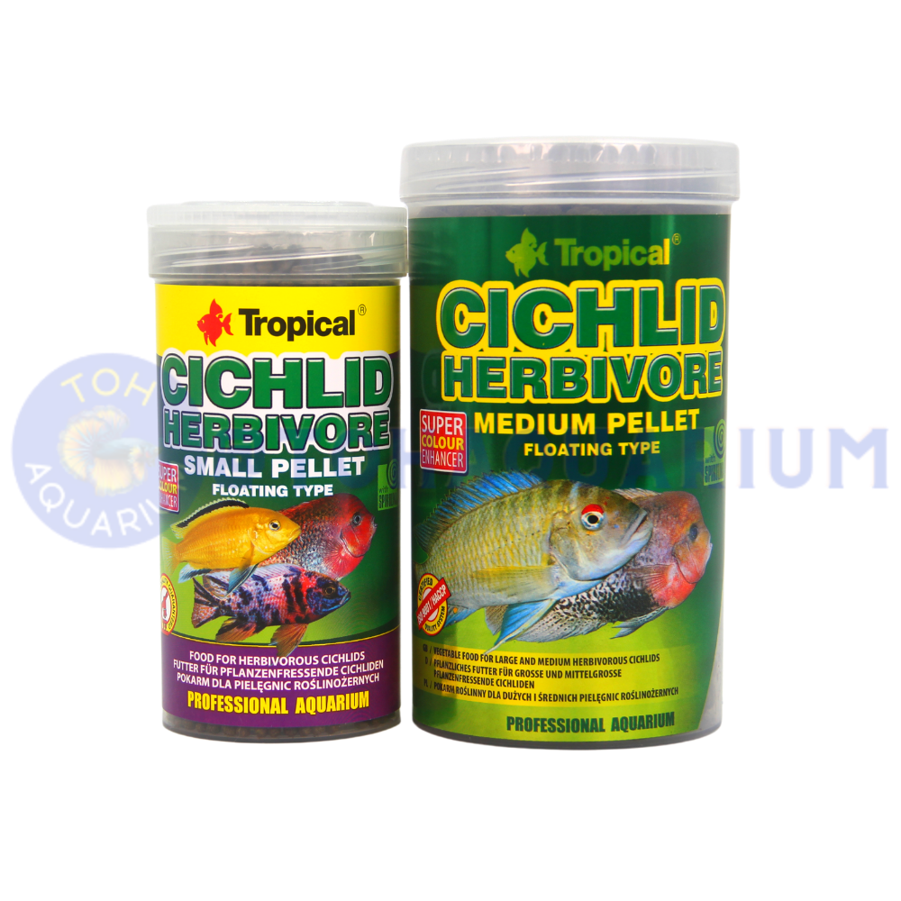 Tropical Cichlid Herbivore (Options Available)