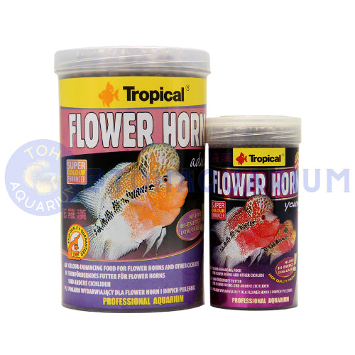 Tropical FlowerHorn Floating Pellet (Options Available)