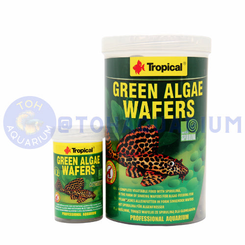 Tropical Green Algae Wafers (Options Available)
