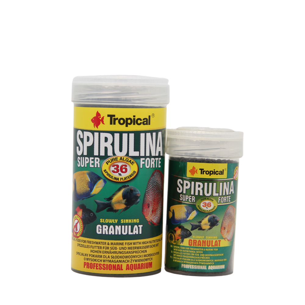 Tropical Spirulina Super Forte Gran (Options Available)