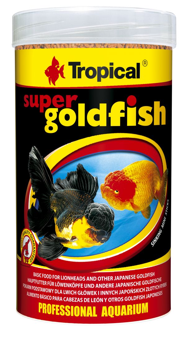 Tropical Super Goldfish (Options Available)