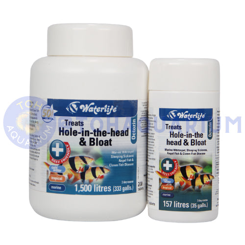 Waterlife Octozin (Options Available) – tohaquarium