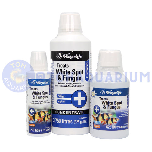 Waterlife Protozin Treats White Spot & Fungus (Options Available)
